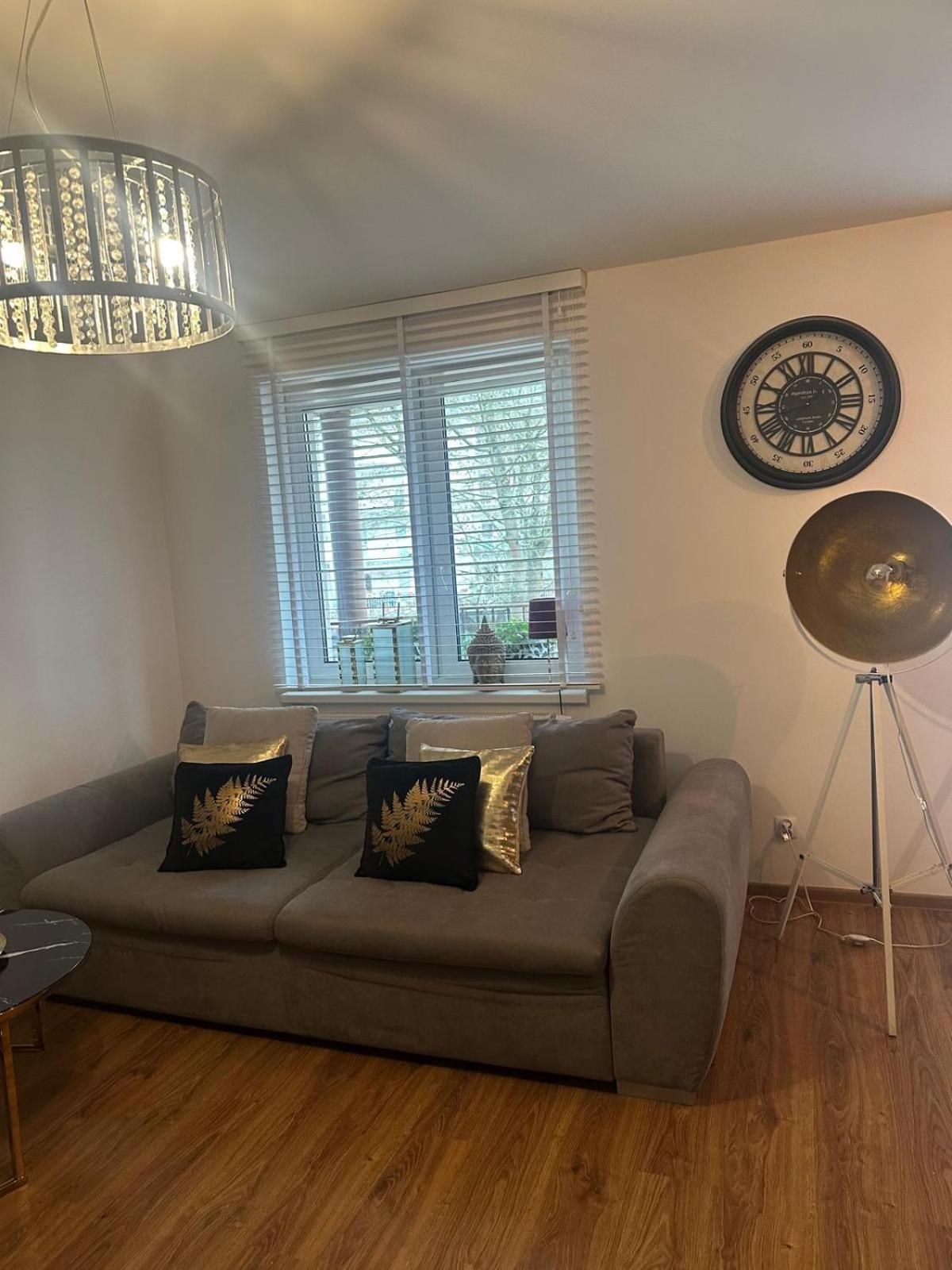 Apartament Skandynawski ミエンジズドロイェ エクステリア 写真